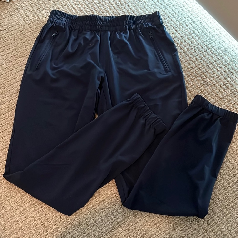 NWOT Aritzia TNA Navy Blue Joggers